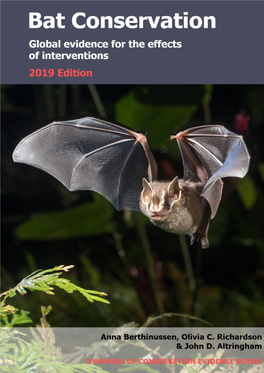 Bat Conservation 2019