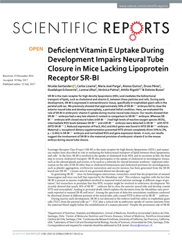 Deficient Vitamin E Uptake During Development Impairs Neural Tube