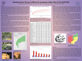 Cytotaxonomic Survey of Black Fly Immatures Within Ohio's Erie Drift Plain