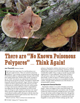 No Known Poisonous Polypores