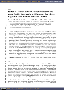 Systematic Surveys of Iron Homeostasis Mechanisms Reveal Ferritin Superfamily and Nucleotide Surveillance Regulation to Be Modif