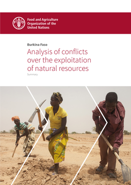 Analysis of Conflicts Over the Exploitation of Natural Resources Summary