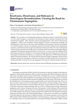 Resolvases, Dissolvases, and Helicases in Homologous Recombination: Clearing the Road for Chromosome Segregation