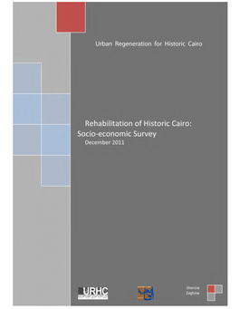 Socio-Economic Survey ( December 2011) 2 Sherine Zaghow