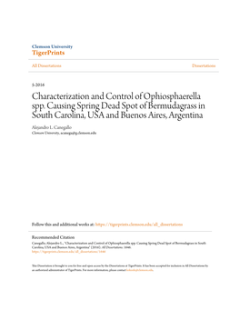 Characterization and Control of Ophiosphaerella Spp. Causing Spring Dead Spot of Bermudagrass in South Carolina, USA and Buenos Aires, Argentina Alejandro L
