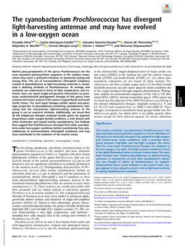 The Cyanobacterium Prochlorococcus Has Divergent Light-Harvesting Antennae and May Have Evolved in a Low-Oxygen Ocean