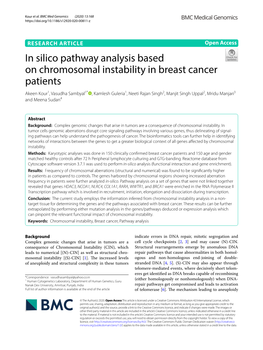 In Silico Pathway Analysis Based on Chromosomal Instability in Breast