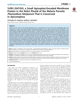 Plasmodium Falciparum That Is Conserved in Apicomplexa