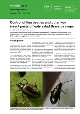 Control of Flea Beetles and Other Key Insect Pests of Leafy Salad Brassica Crops
