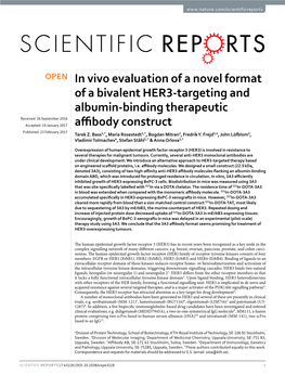 In Vivo Evaluation of a Novel Format of a Bivalent HER3-Targeting And