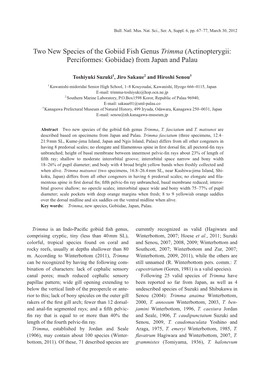 Two New Species of the Gobiid Fish Genus Trimma (Actinopterygii: Perciformes: Gobiidae) from Japan and Palau