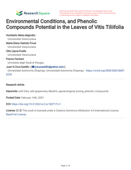 Environmental Conditions, and Phenolic Compounds Potential in the Leaves of Vitis Tiliifolia