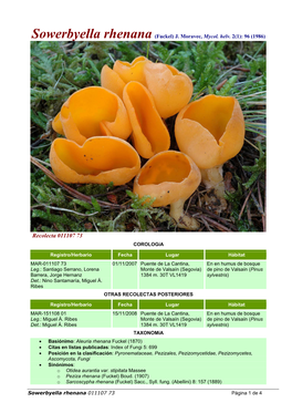 Sowerbyella Rhenana (Fuckel) J. Moravec, Mycol. Helv. 2(1): 96 (1986)