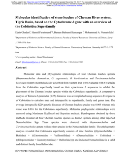 Molecular Identification of Stone Loaches of Choman River System, Tigris Basin, Based on the Cytochrome B Gene with an Overview of the Cobitoidea Superfamily