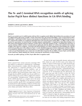 And C-Terminal RNA Recognition Motifs of Splicing Factor Prp24 Have Distinct Functions in U6 RNA Binding