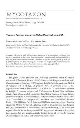 Two New &lt;I&gt;Puccinia&lt;/I&gt; Species on &lt;I&gt;Melica&lt;/I&gt; (&lt;I&gt;Poaceae&lt;/I&gt;) From