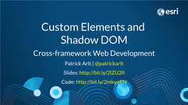 Custom Elements and Shadow