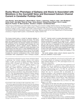 Ducky Mouse Phenotype of Epilepsy and Ataxia Is Associated with Mutations in the Cacna2d2 Gene and Decreased Calcium Channel Current in Cerebellar Purkinje Cells