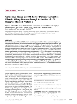 Connective Tissue Growth Factor Domain 4 Amplifies Fibrotic Kidney