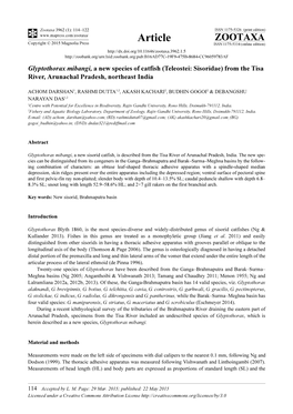 Glyptothorax Mibangi, a New Species of Catfish (Teleostei: Sisoridae) from the Tisa River, Arunachal Pradesh, Northeast India