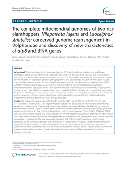 The Complete Mitochondrial Genomes of Two Rice Planthoppers