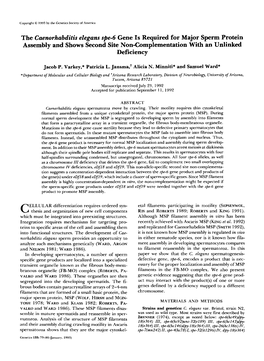 The Caenorhabditis Elegans Spe-6 Gene Is Required for Major Sperm