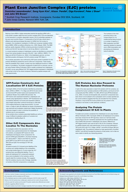 Plant Exon Junction Complex (EJC)
