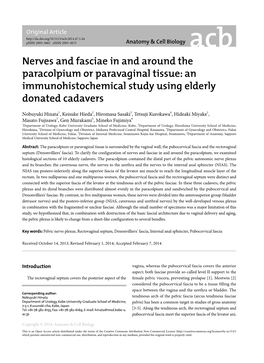 Nerves and Fasciae in and Around the Paracolpium Or Paravaginal Tissue: an Immunohistochemical Study Using Elderly Donated Cadavers