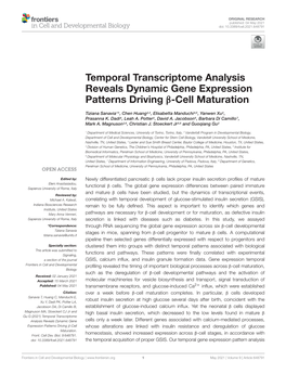 Temporal Transcriptome Analysis Reveals Dynamic Gene Expression Patterns Driving Β-Cell Maturation