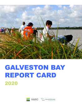 2020 Report Card Is the Sixth Release, and We Plan to Update the Report Annually