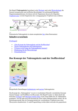 Inhaltsverzeichnis Das Konzept Der Nahrungskette Und Der Stoffkreislauf