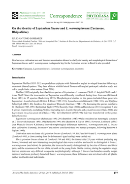 On the Identity of Lepismium Lineare and L. Warmingianum (Cactaceae, Rhipsalidae)