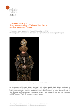 PRESS RELEASE / Koen Vanmechelen « Vision of the Owl » Curated by James Putnam