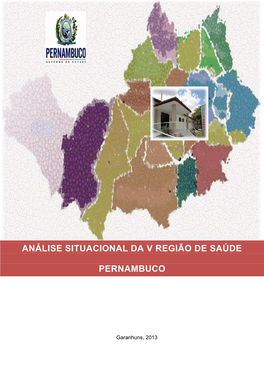 Análise Situacional Da V Região De Saúde Pernambuco