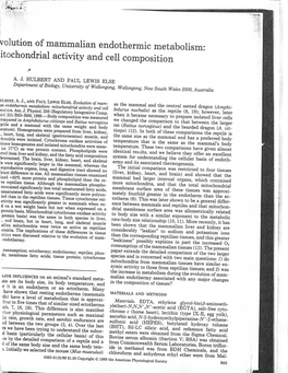 Volution of Mammalian Endothermic Metabolism: Itochondrial Activity and Cell Composition