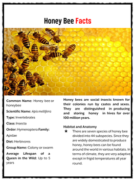 Honey Bee Facts