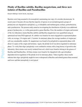 Ploidy of Bacillus Subtilis, Bacillus Megaterium, and Three New Isolates of Bacillus and Paenibacillus