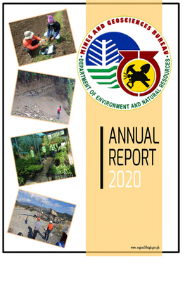 MGB-I ANNUAL REPORT 2020.Pdf