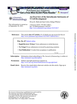 T Cell Development an Overview of the Intrathymic Intricacies Of