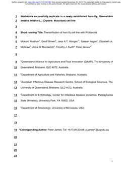Wolbachia Successfully Replicate in a Newly Established Horn Fly, Haematobia 2 Irritans Irritans (L.) (Diptera: Muscidae) Cell Line