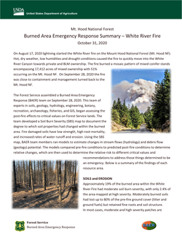 White River Fire BAER Summary
