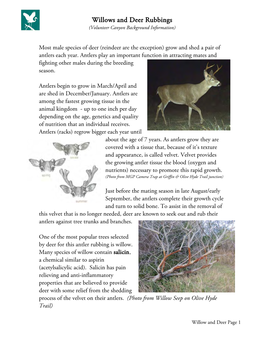 Willows and Deer Rubbings (Volunteer Canyon Background Information)