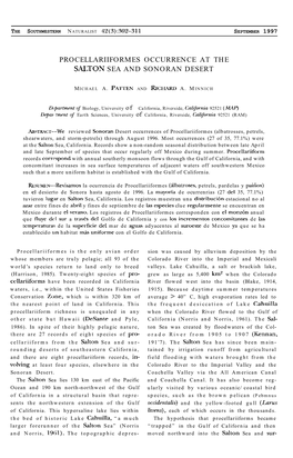 Procellariiformes Occurrence at the Salton Sea and Sonoran Desert