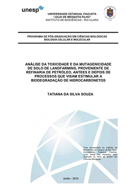 Souza Ts Dr Rcla.Pdf (1013.Kb)