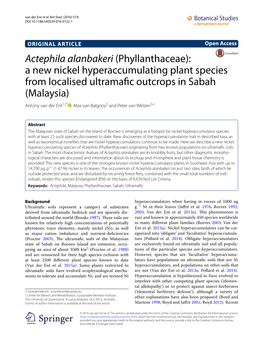 Actephila Alanbakeri (Phyllanthaceae): a New Nickel