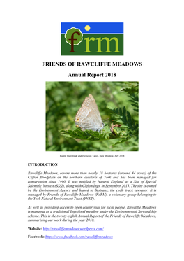 Form Annual Report 2018