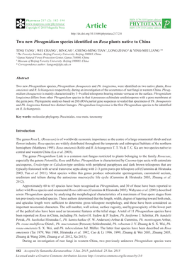 Two New Phragmidium Species Identified on Rosa Plants Native to China