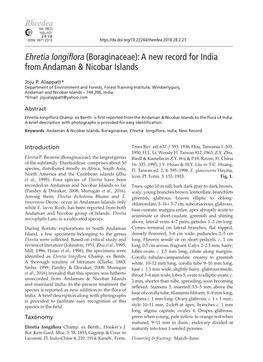 Ehretia Longiflora (Boraginaceae): a New Record for India from Andaman & Nicobar Islands