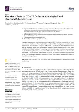 T Cells: Immunological and Structural Characteristics