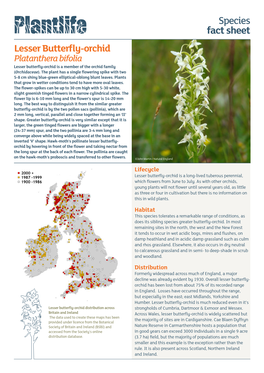 Lesser Butterfly-Orchid Platanthera Bifolia Lesser Butterfly-Orchid Is a Member of the Orchid Family (Orchidaceae)